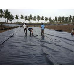 装修辅材选购指南 腻子粉、土工膜价格与品牌解析