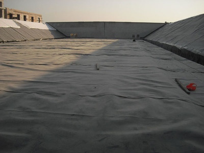 黑色HDPE光面土工膜 鱼塘养殖与水池防渗的优选屏障